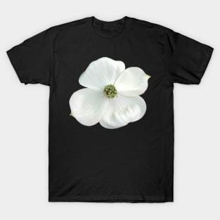 White Dogwood Flower Close-up Photo T-Shirt